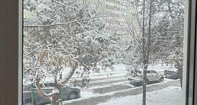 Офисные помещения, 80 кв. м , 1/1 эт.