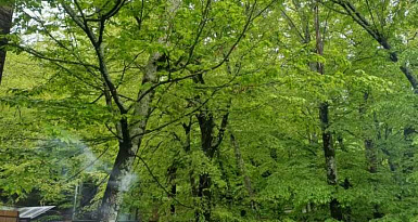 Гостиница, 1000 кв. м , 1/1 эт.